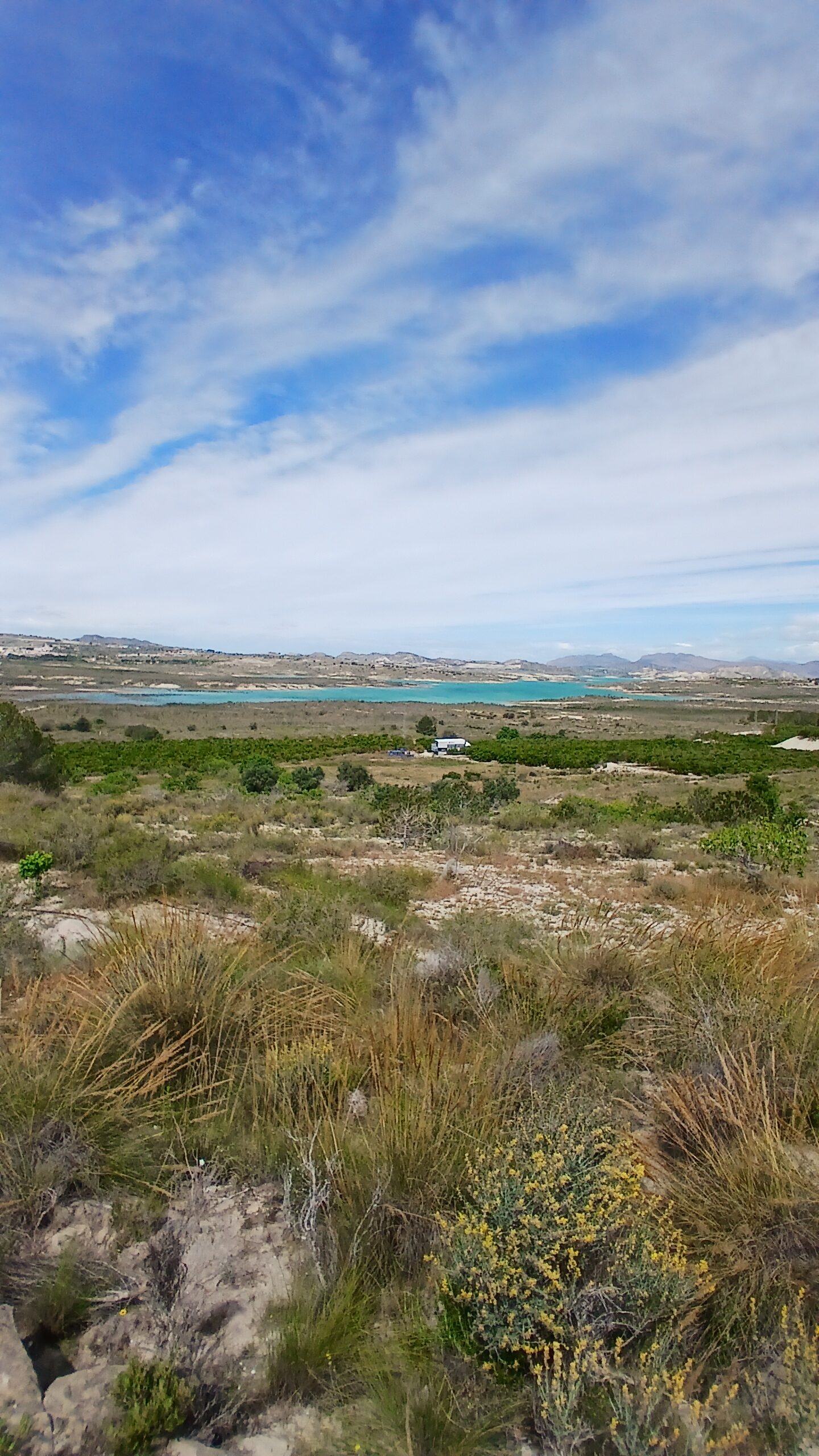 8-daagse paardrijvakantie: dagtochten natuurreservaat La Mata Valencia - Spanje - Afbeelding 12