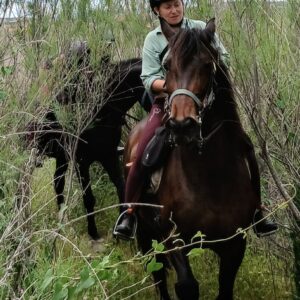 8-daagse paardrijvakantie: Terug in het Zadel in Valencia - Spanje - Afbeelding 11