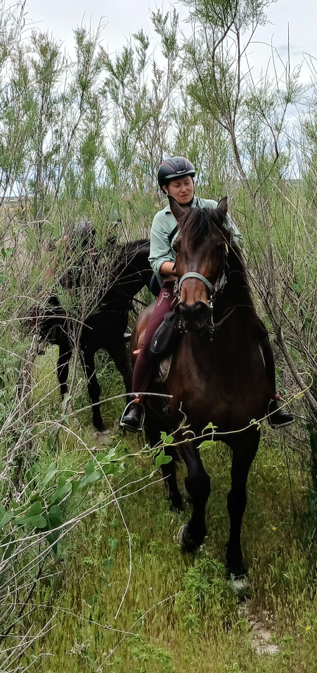 8-daagse paardrijvakantie: Terug in het Zadel in Valencia - Spanje - Afbeelding 11