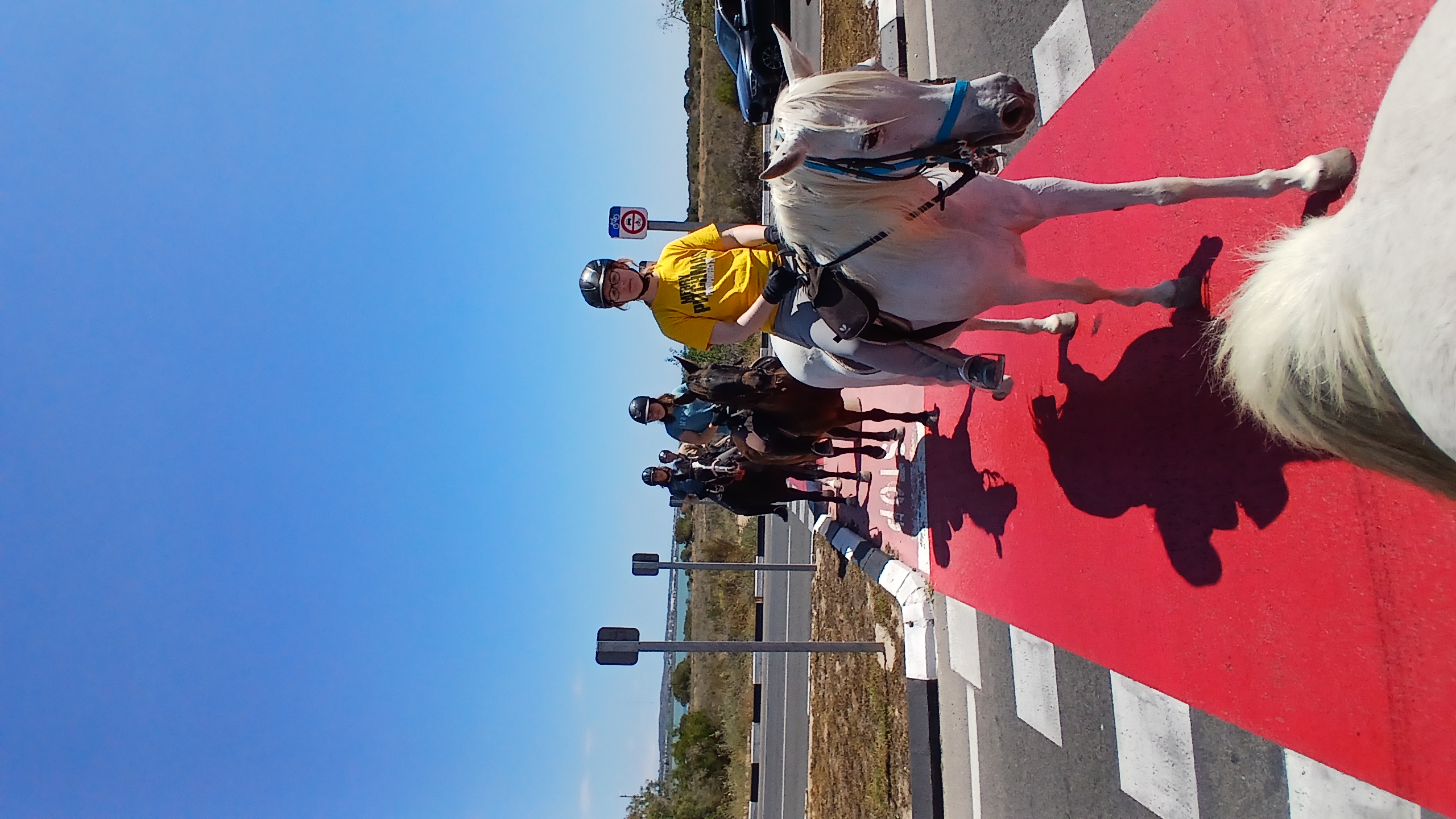 8-daagse paardrijvakantie: Lessen & Tochten Valencia - Spanje - Afbeelding 9