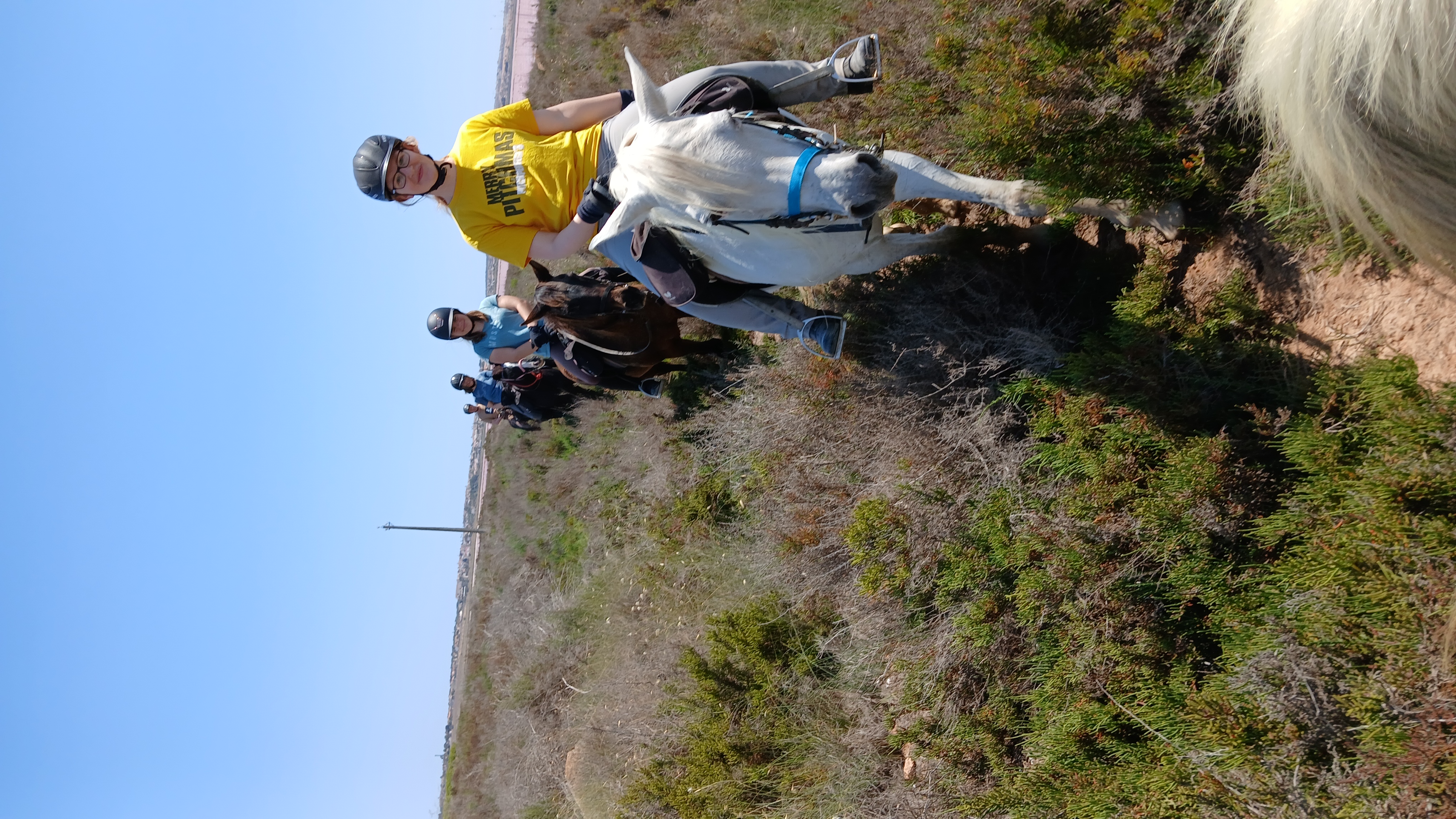 8-daagse paardrijvakantie & Tweedaagse Trail Valencia - Spanje - Afbeelding 10