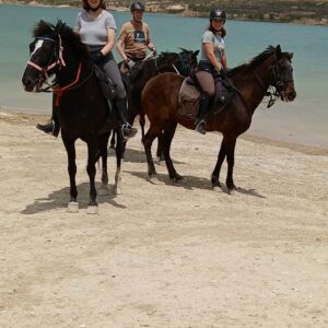 8-daagse paardrijvakantie: Lessen & Tochten Valencia - Spanje - Afbeelding 8