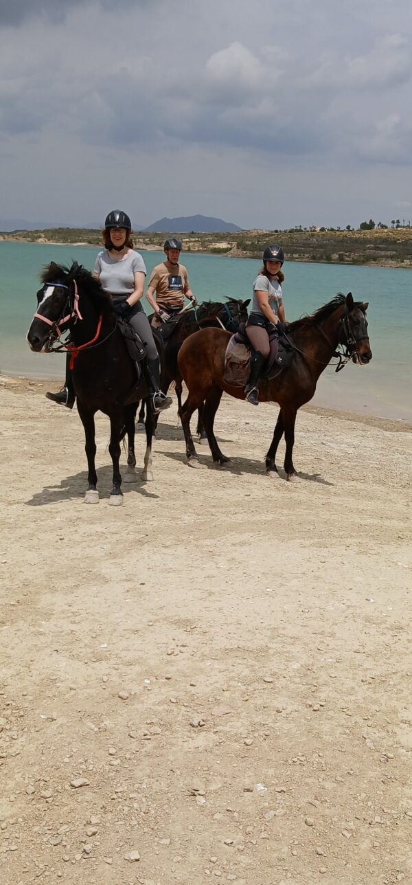 8-daagse paardrijvakantie: Lessen & Tochten Valencia - Spanje