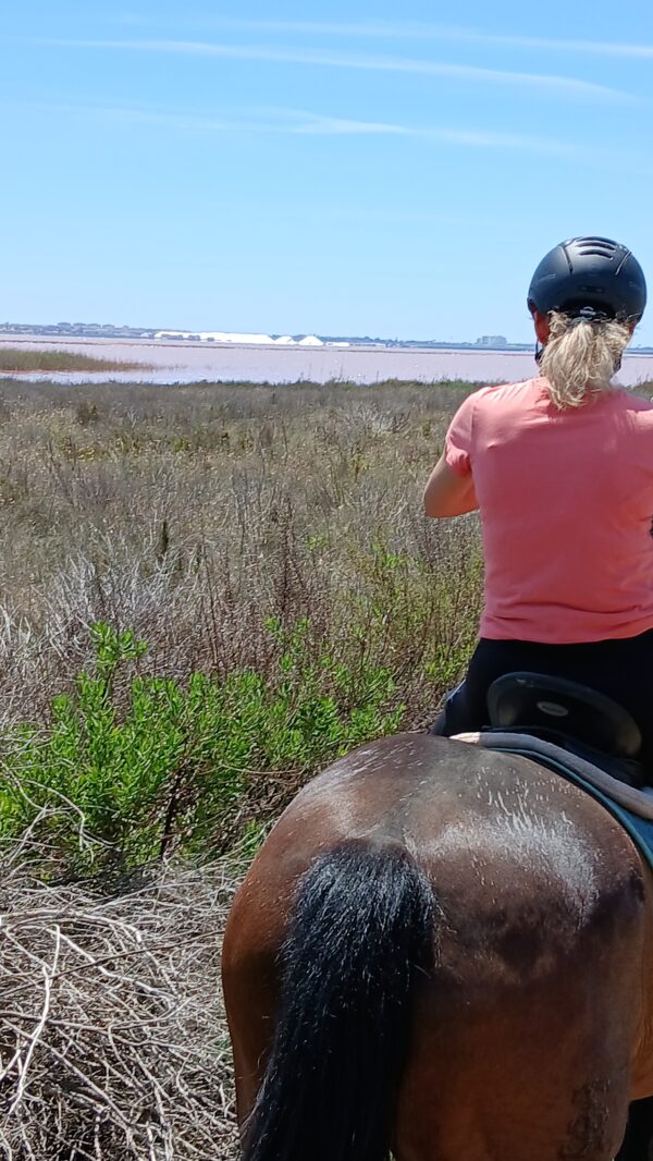 8-daagse paardrijvakantie: Terug in het Zadel in Valencia - Spanje