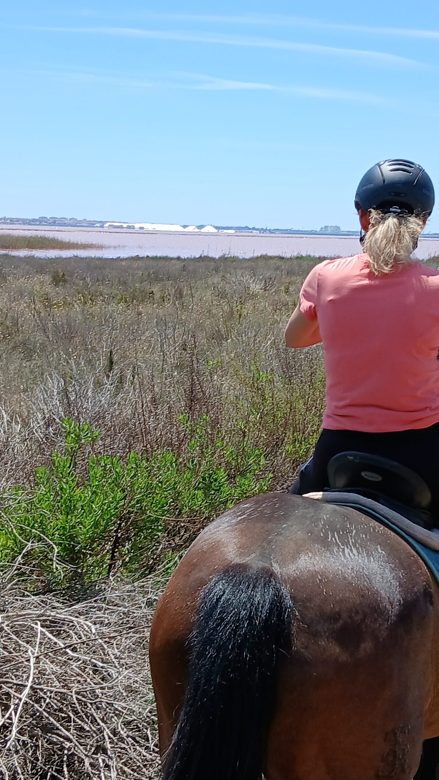 8-daagse paardrijvakantie: Terug in het Zadel in Valencia - Spanje - Afbeelding 10