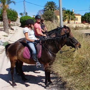 8-daagse paardrijvakantie & Tweedaagse Trail Valencia - Spanje - Afbeelding 9