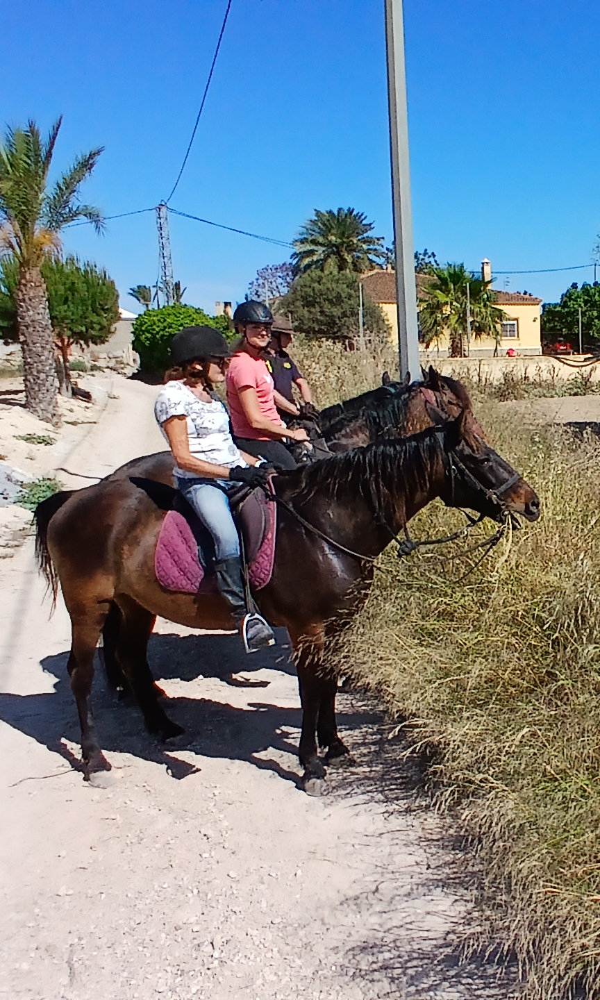 8-daagse paardrijvakantie & Tweedaagse Trail Valencia - Spanje