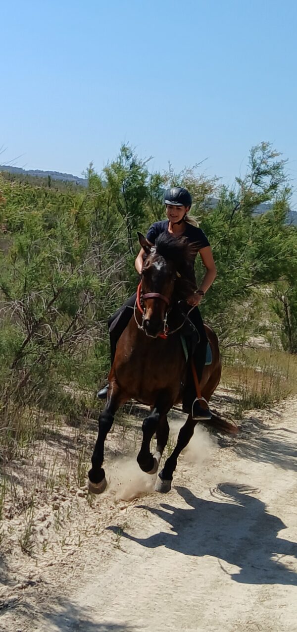8-daagse Guardamar Trail: Ontdek de Vega Baja Valencia - Spanje