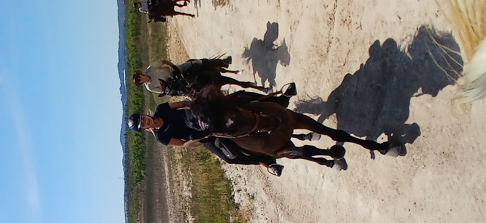 8-daagse paardrijvakantie: Lessen & Tochten Valencia - Spanje - Afbeelding 7