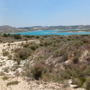 8-daagse paardrijvakantie & Tweedaagse Trail Valencia - Spanje - Afbeelding 8