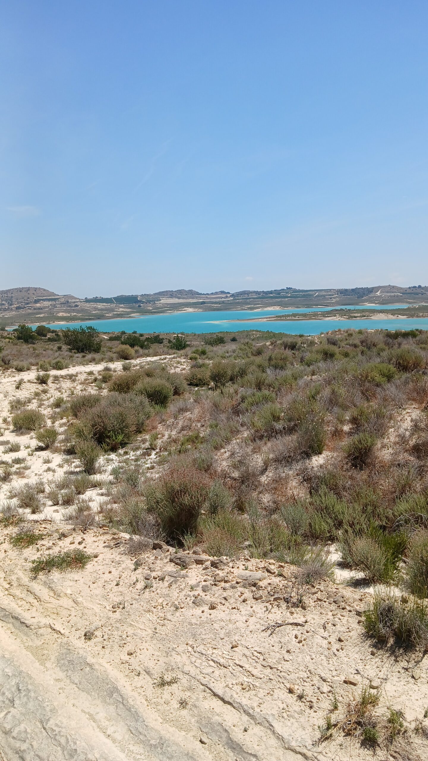 8-daagse paardrijvakantie & Tweedaagse Trail Valencia - Spanje - Afbeelding 8