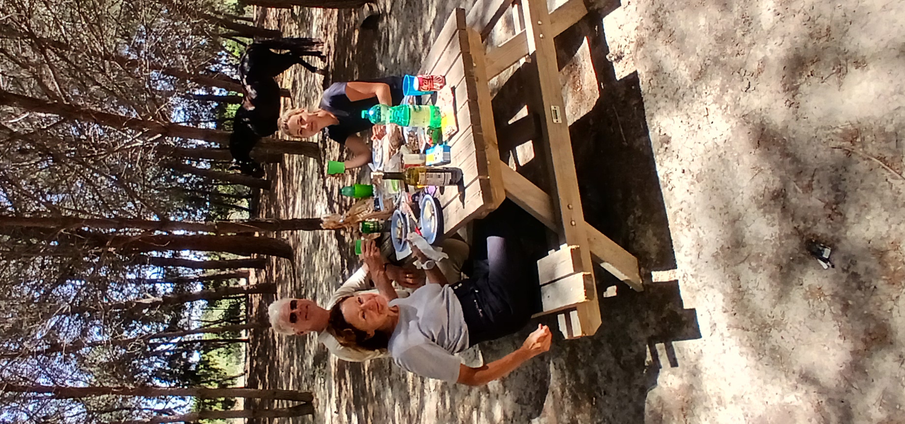 8-daagse paardrijvakantie: Lessen & Tochten Valencia - Spanje - Afbeelding 11