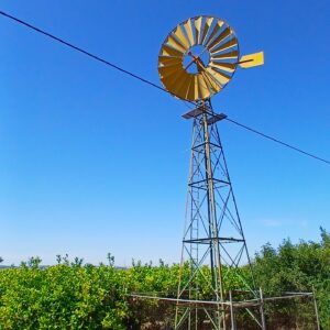 8-daagse paardrijvakantie: dagtochten natuurreservaat La Mata Valencia - Spanje - Afbeelding 7
