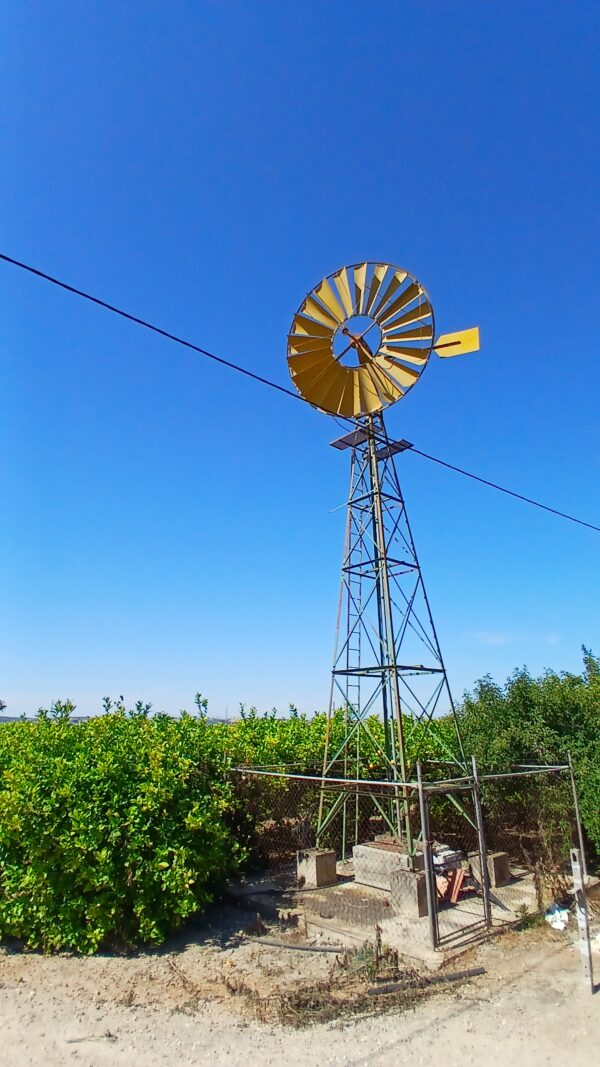 8-daagse paardrijvakantie: dagtochten natuurreservaat La Mata Valencia - Spanje
