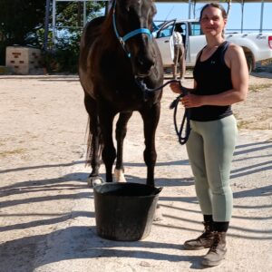 8-daagse Guardamar Trail: Ontdek de Vega Baja Valencia - Spanje - Afbeelding 8