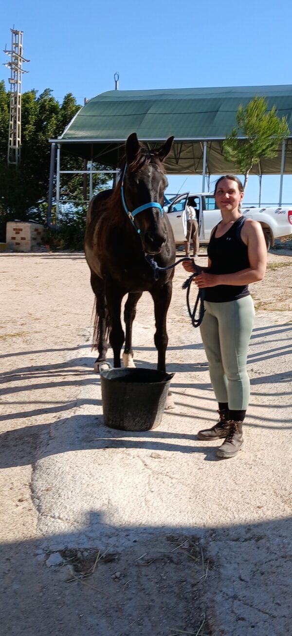 8-daagse Guardamar Trail: Ontdek de Vega Baja Valencia - Spanje