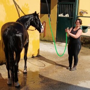 8-daagse paardrijvakantie: Lessen & Tochten Valencia - Spanje - Afbeelding 6