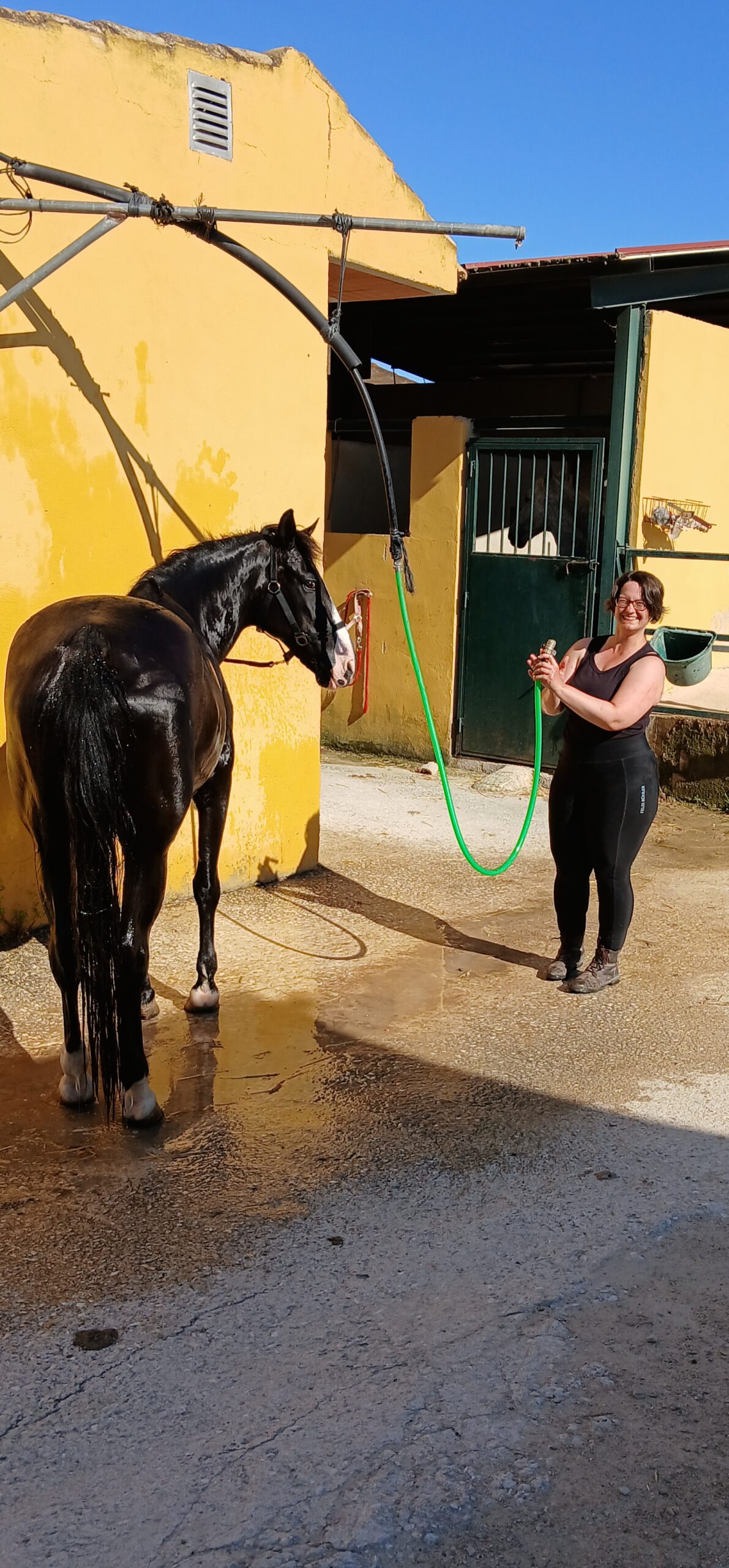 8-daagse paardrijvakantie: Lessen & Tochten Valencia - Spanje - Afbeelding 6