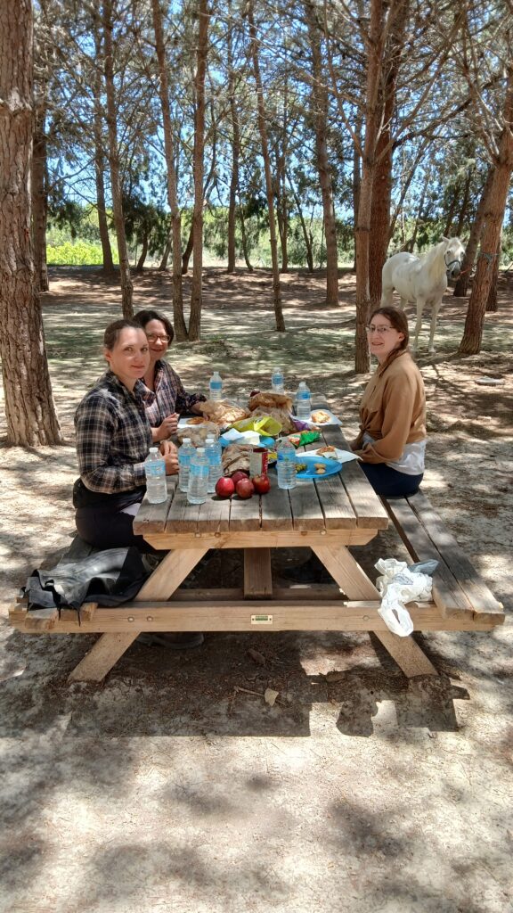 8-daagse paardrijvakantie: Terug in het Zadel in Valencia - Spanje