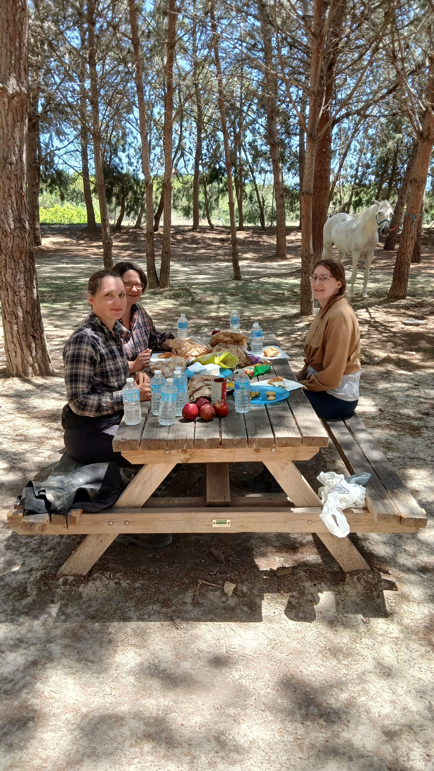 8-daagse paardrijvakantie: Terug in het Zadel in Valencia - Spanje - Afbeelding 8