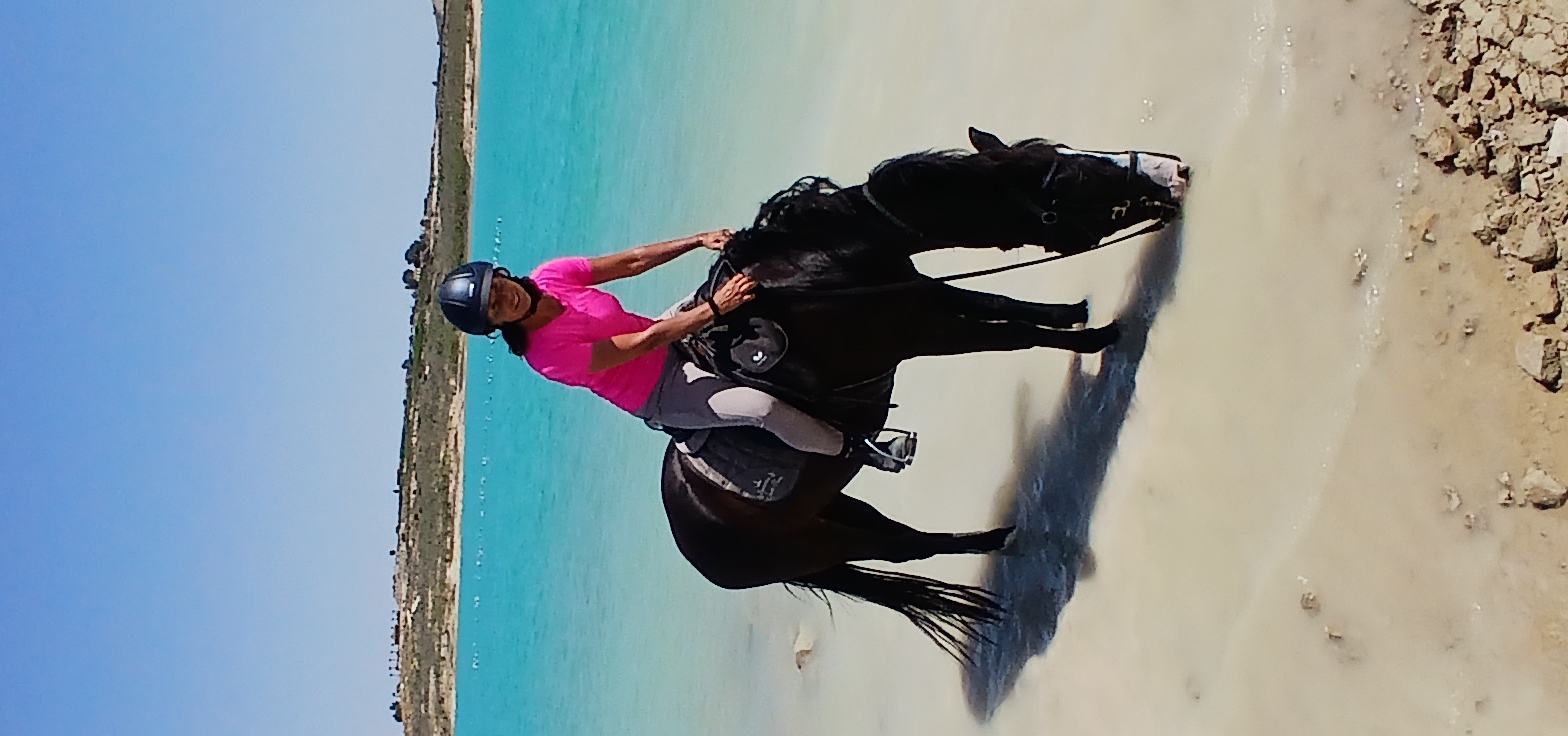 8-daagse Guardamar Trail: Ontdek de Vega Baja Valencia - Spanje - Afbeelding 7