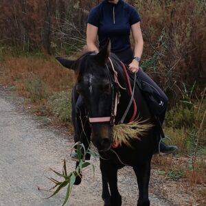 8-daagse paardrijvakantie: Terug in het Zadel in Valencia - Spanje - Afbeelding 5