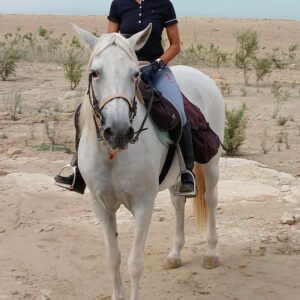 8-daagse Guardamar Trail: Ontdek de Vega Baja Valencia - Spanje - Afbeelding 2