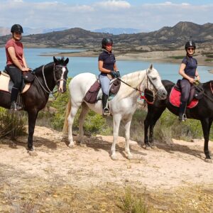 8-daagse paardrijvakantie: dagtochten natuurreservaat La Mata Valencia - Spanje - Afbeelding 5