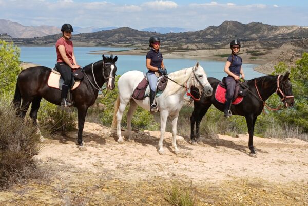 8-daagse paardrijvakantie: dagtochten natuurreservaat La Mata Valencia - Spanje