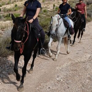 8-daagse paardrijvakantie: Lessen & Tochten Valencia - Spanje - Afbeelding 5