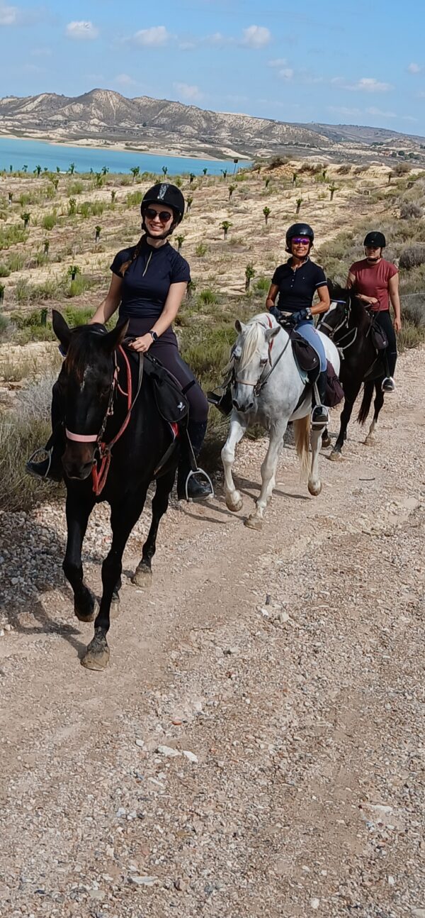 8-daagse paardrijvakantie: Lessen & Tochten Valencia - Spanje