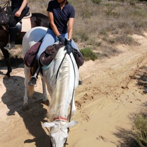 8-daagse paardrijvakantie: Terug in het Zadel in Valencia - Spanje - Afbeelding 2