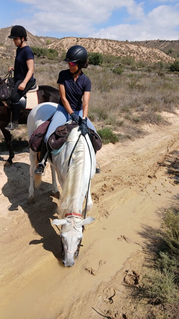 8-daagse paardrijvakantie: Terug in het Zadel in Valencia - Spanje