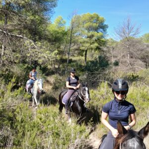 8-daagse paardrijvakantie: Lessen & Tochten Valencia - Spanje - Afbeelding 3