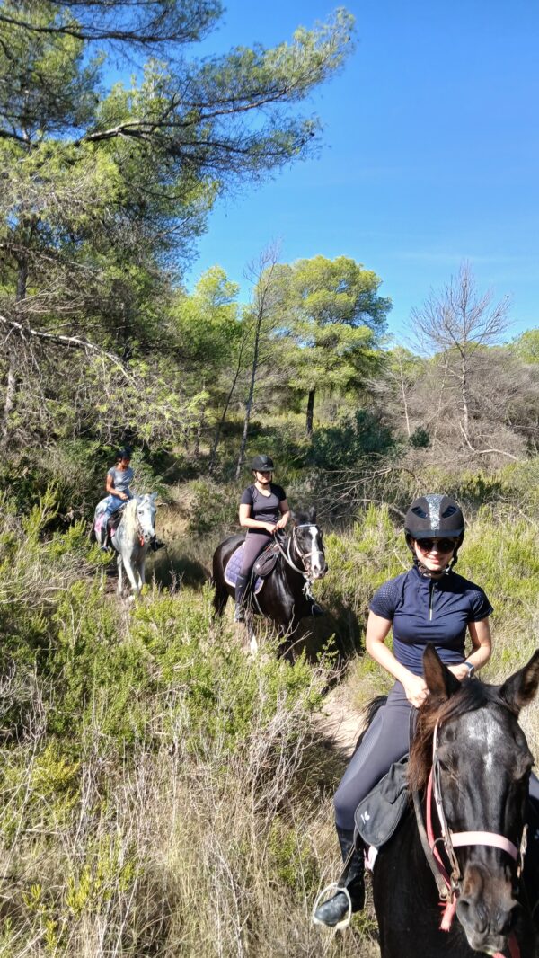 8-daagse paardrijvakantie: Lessen & Tochten Valencia - Spanje