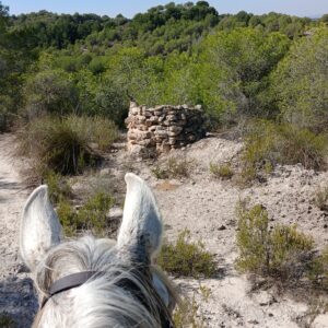 8-daagse Guardamar Trail: Ontdek de Vega Baja Valencia - Spanje - Afbeelding 4