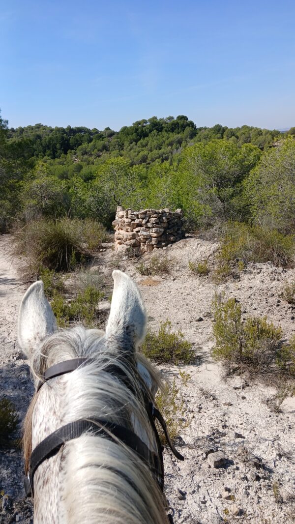 8-daagse Guardamar Trail: Ontdek de Vega Baja Valencia - Spanje