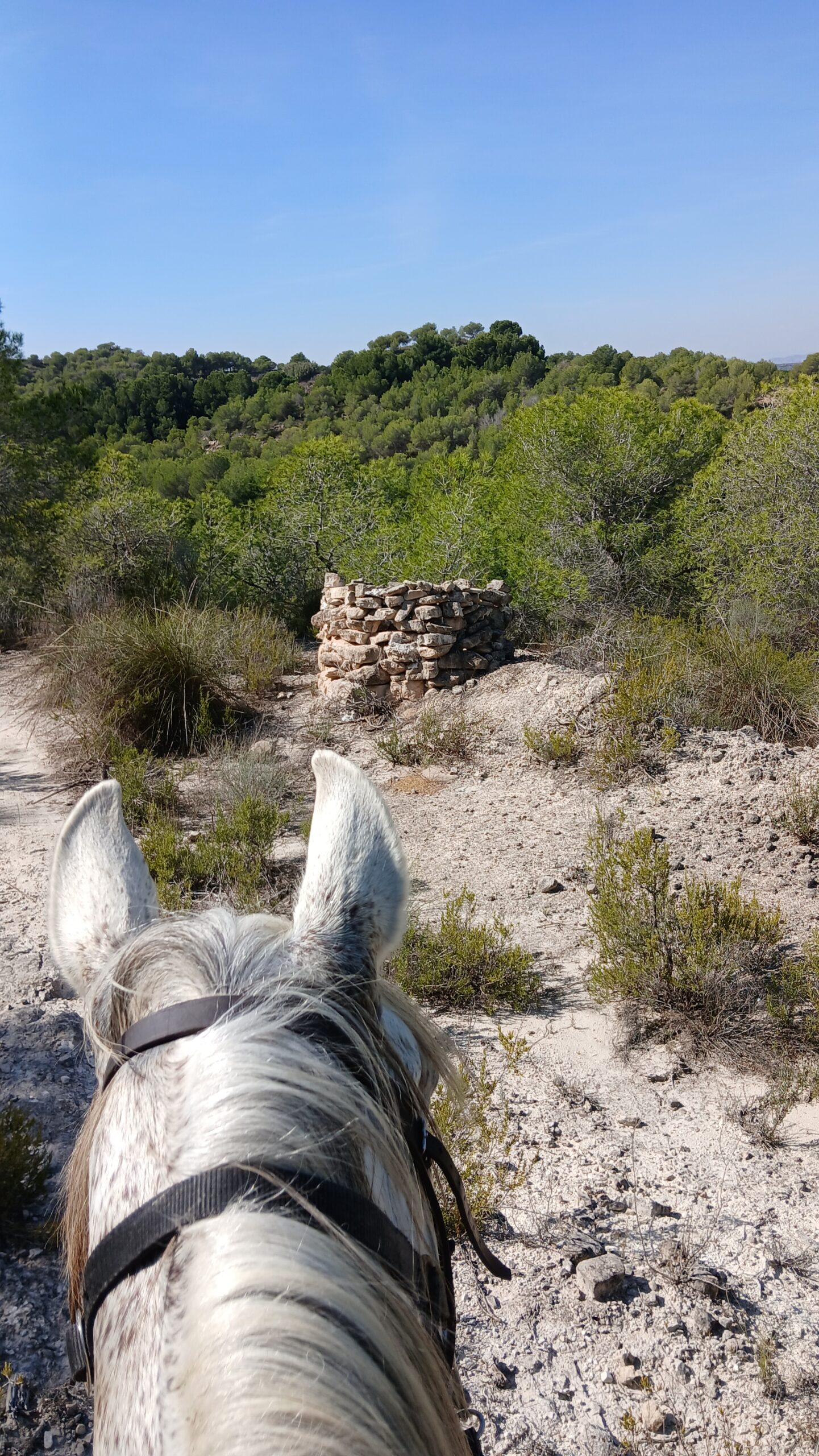 8-daagse Guardamar Trail: Ontdek de Vega Baja Valencia - Spanje - Afbeelding 4