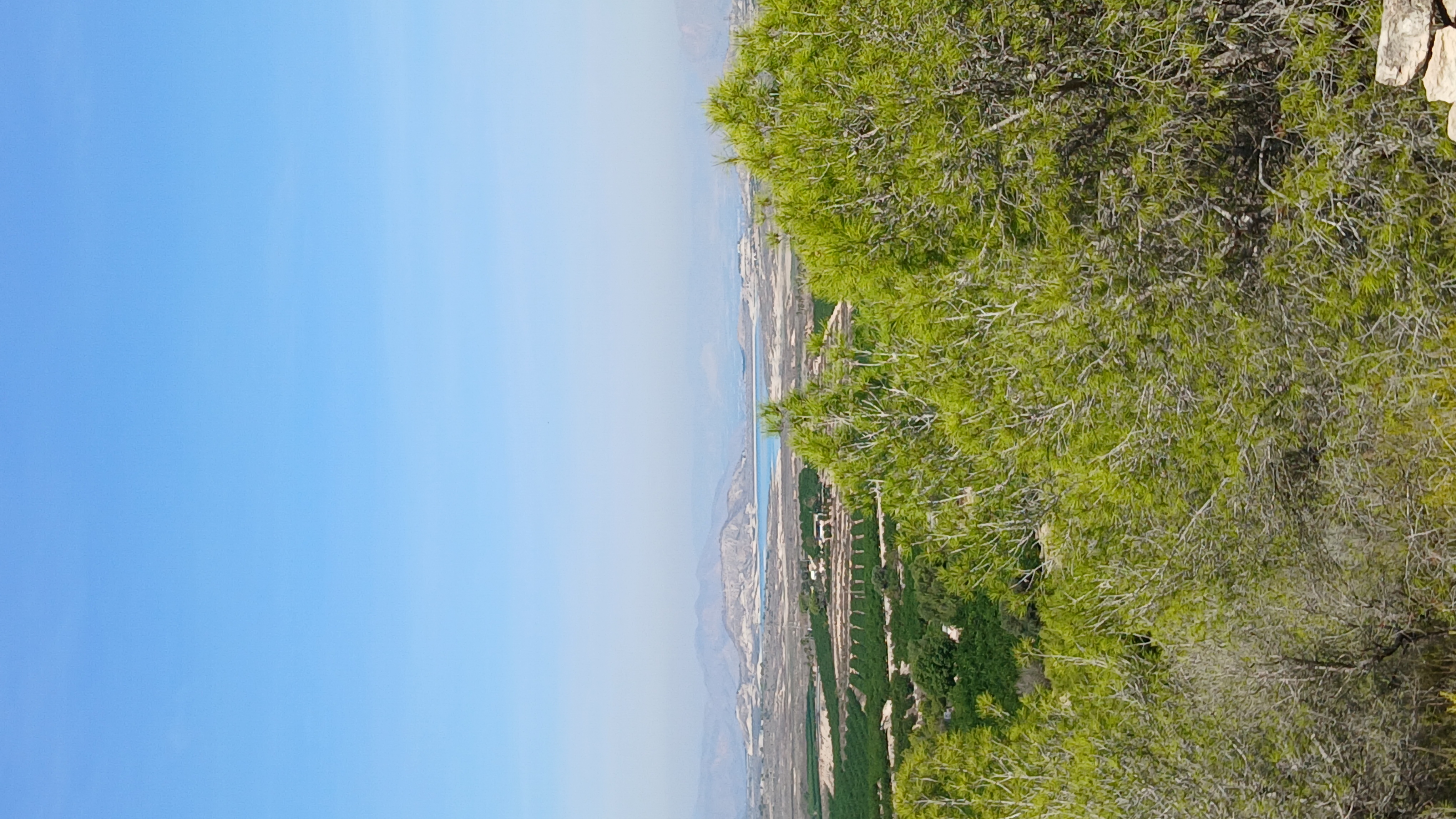 8-daagse paardrijvakantie: dagtochten natuurreservaat La Mata Valencia - Spanje - Afbeelding 4