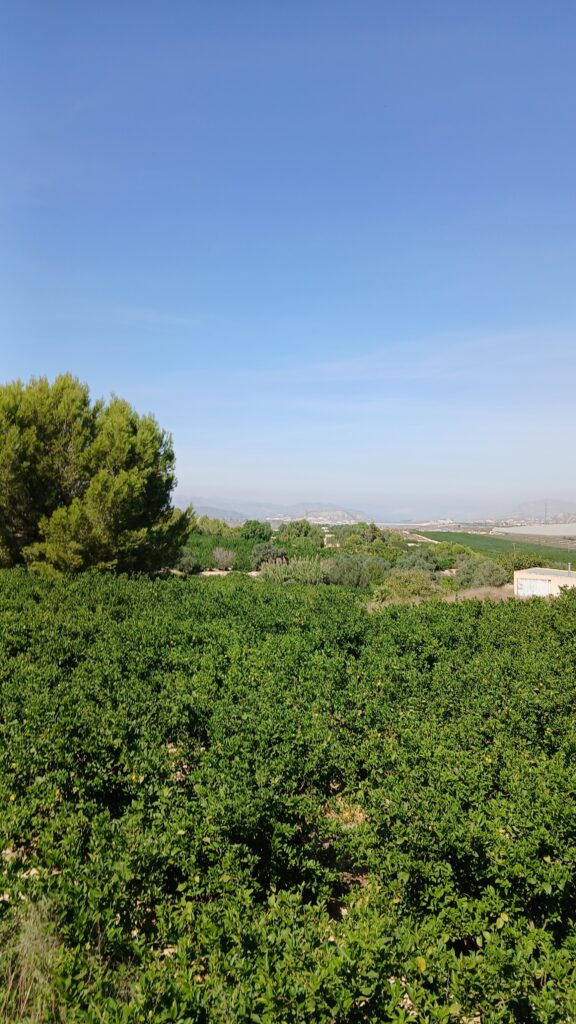 8-daagse paardrijvakantie: Terug in het Zadel in Valencia - Spanje