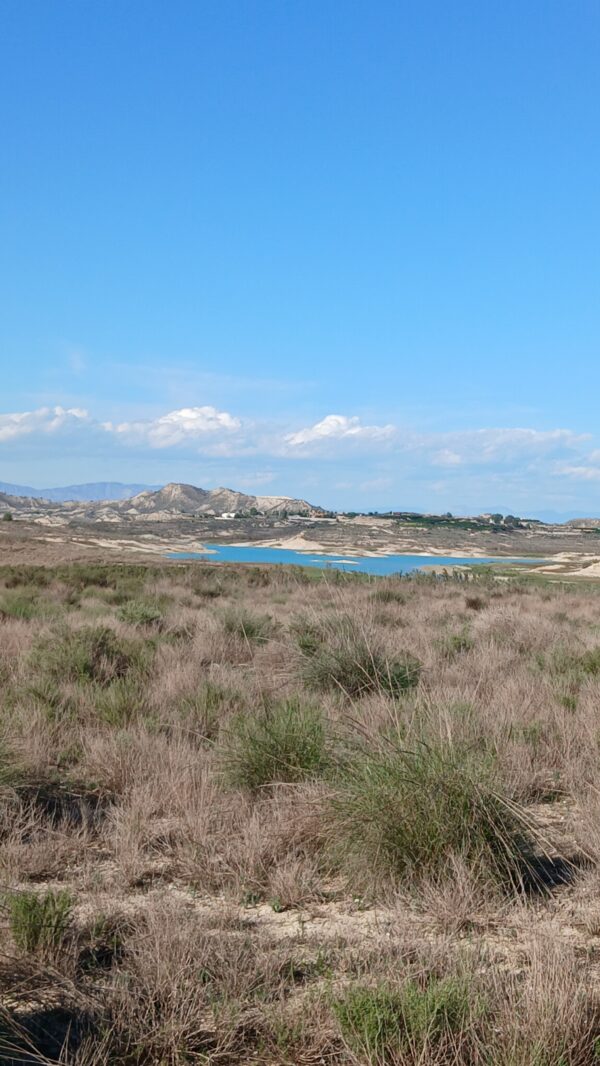 8-daagse paardrijvakantie & Tweedaagse Trail Valencia - Spanje