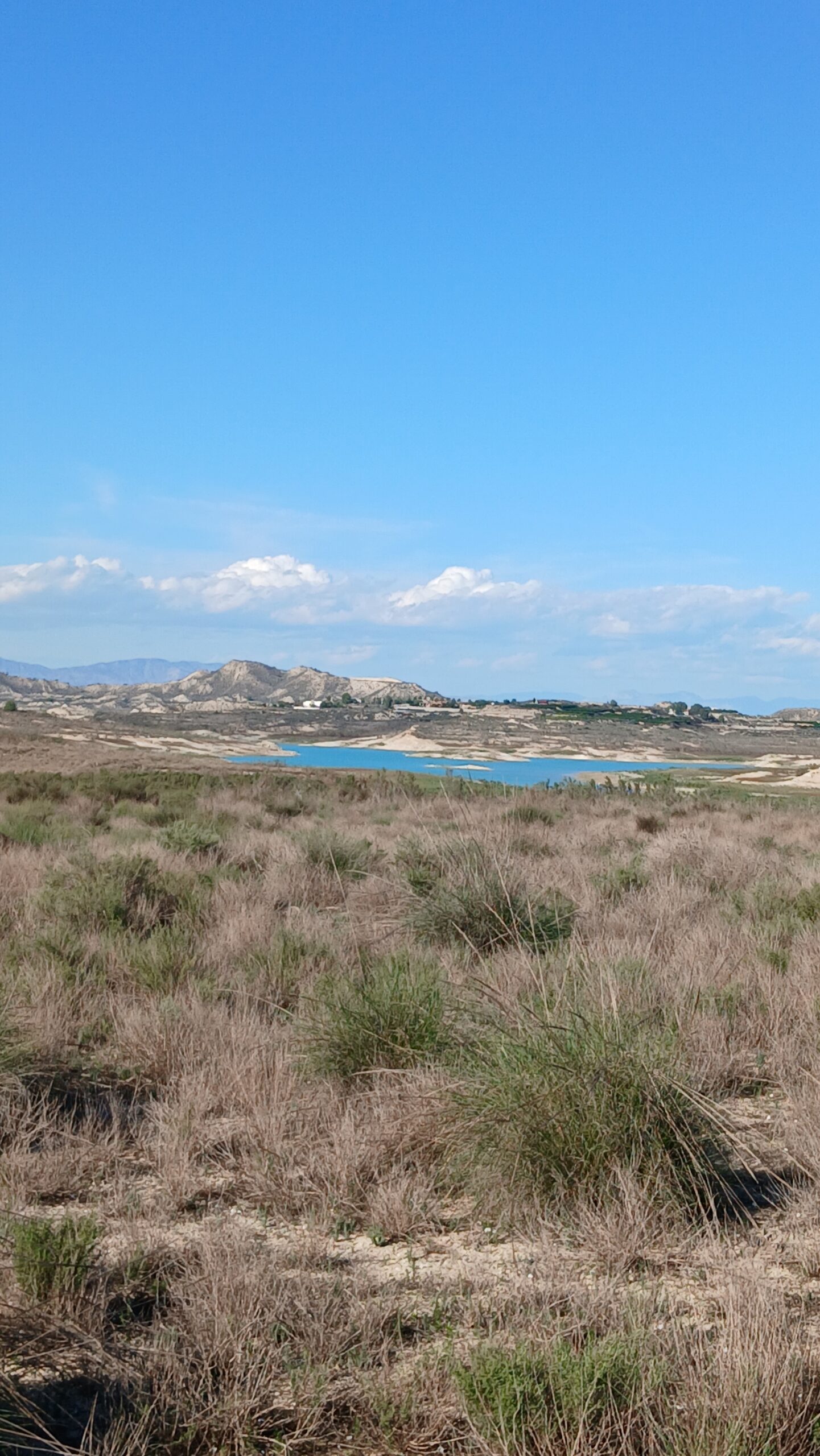 8-daagse paardrijvakantie & Tweedaagse Trail Valencia - Spanje - Afbeelding 5