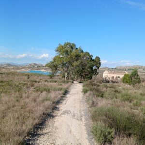 8-daagse Guardamar Trail: Ontdek de Vega Baja Valencia - Spanje - Afbeelding 6