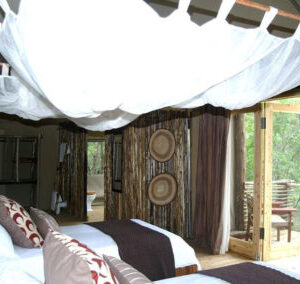 3-daagse Paardensafari Hwange - Zimbabwe - Afbeelding 19