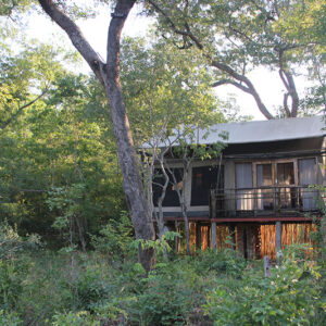 3-daagse Paardensafari Hwange - Zimbabwe - Afbeelding 25