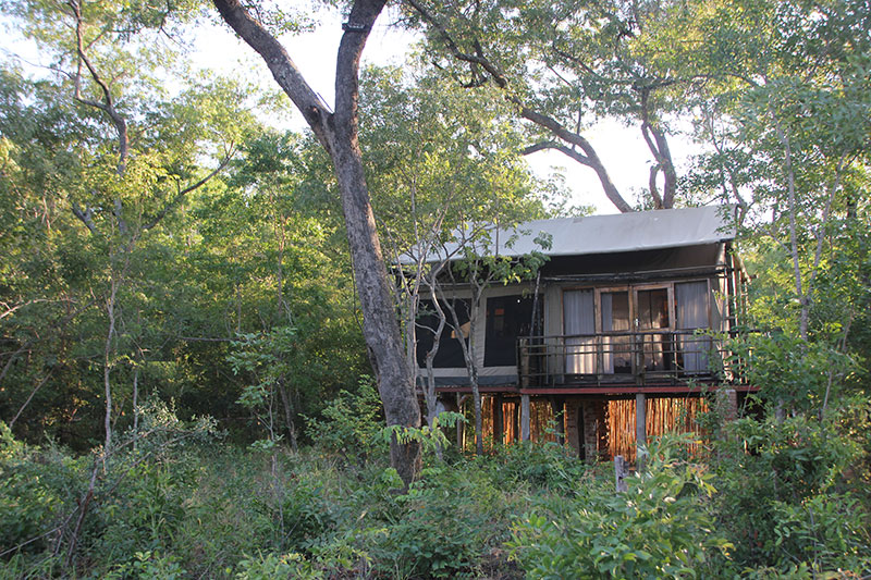 3-daagse Paardensafari Hwange - Zimbabwe