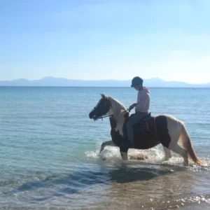 Buitenrit strand en bergen (evt. met overnachting op een ranch) Mallorca - Spanje - Afbeelding 5