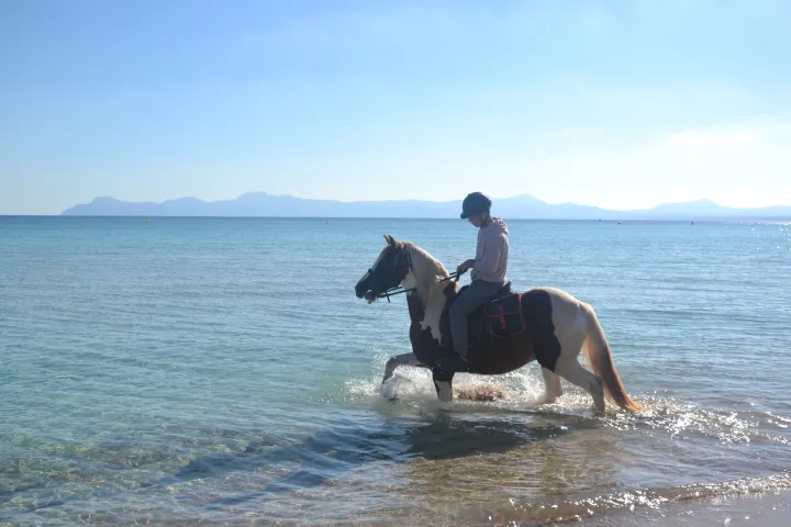 Buitenrit strand en bergen (evt. met overnachting op een ranch) Mallorca - Spanje