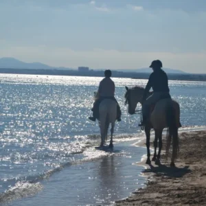 Buitenrit strand en bergen (evt. met overnachting op een ranch) Mallorca - Spanje - Afbeelding 3