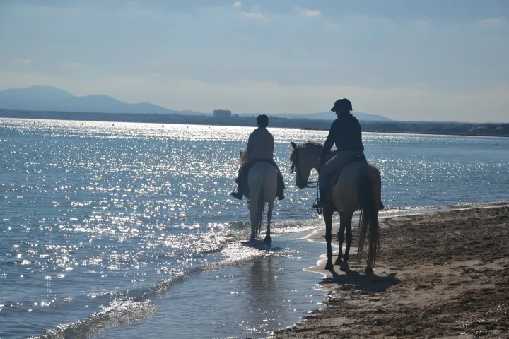 Buitenrit strand en bergen (evt. met overnachting op een ranch) Mallorca - Spanje - Afbeelding 3